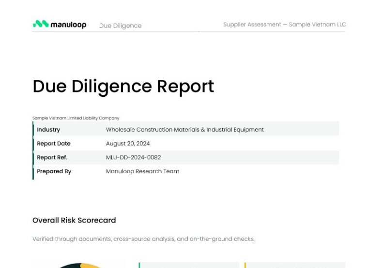 Report sample